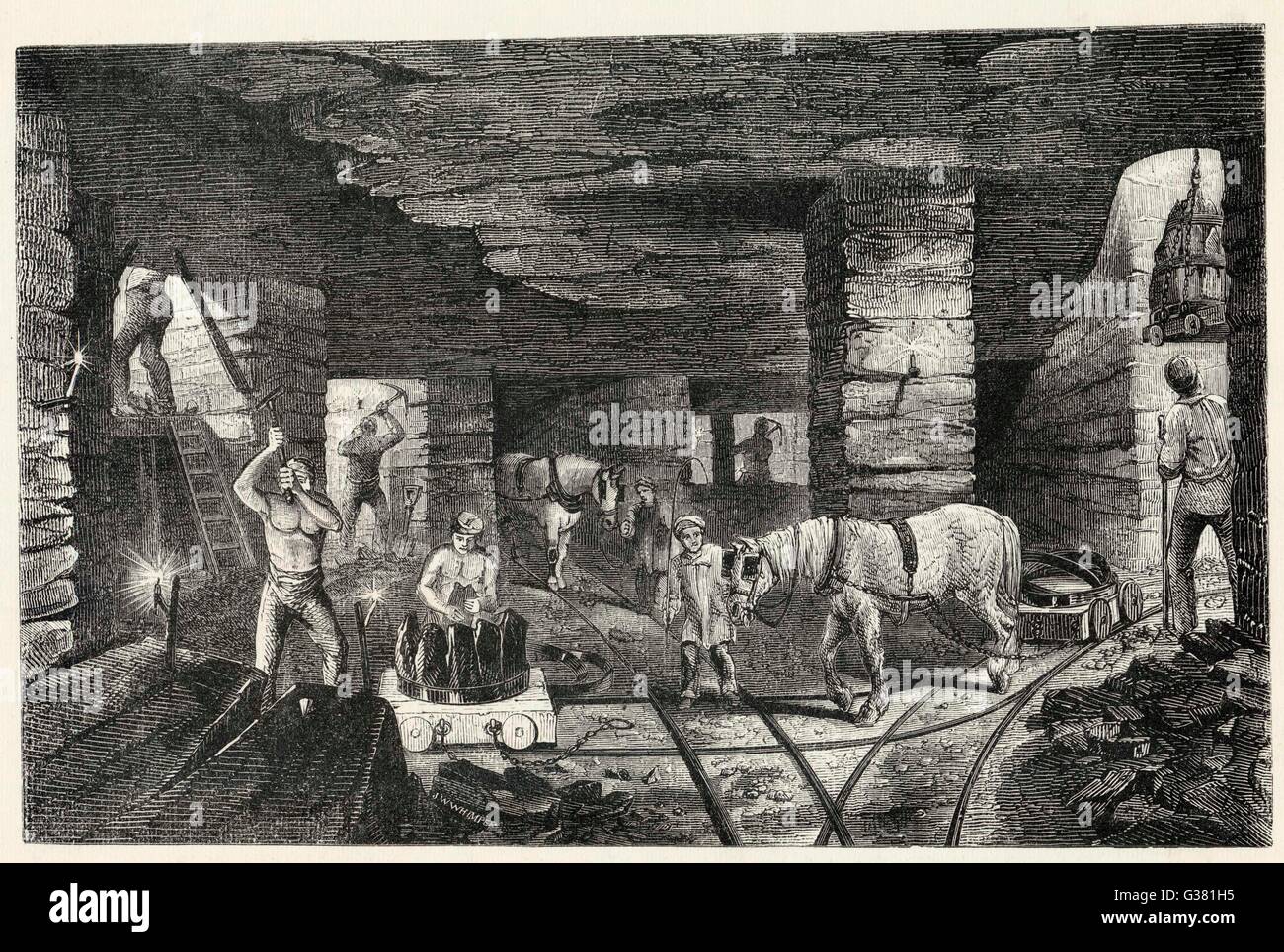 Pit Ponies - 1853 Stockfoto