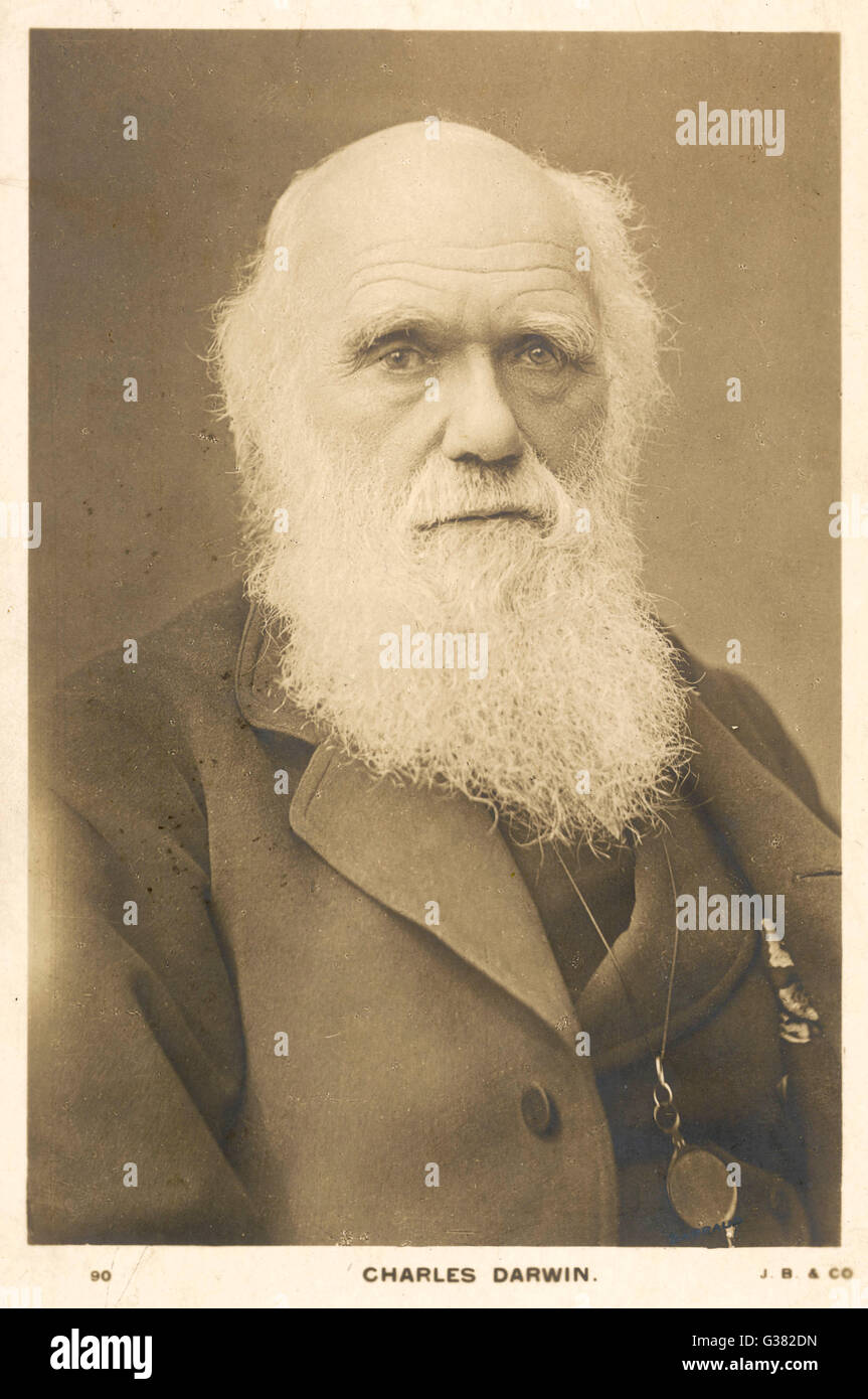 CHARLES DARWIN englischen Naturforscher 1809-1882 Stockfoto