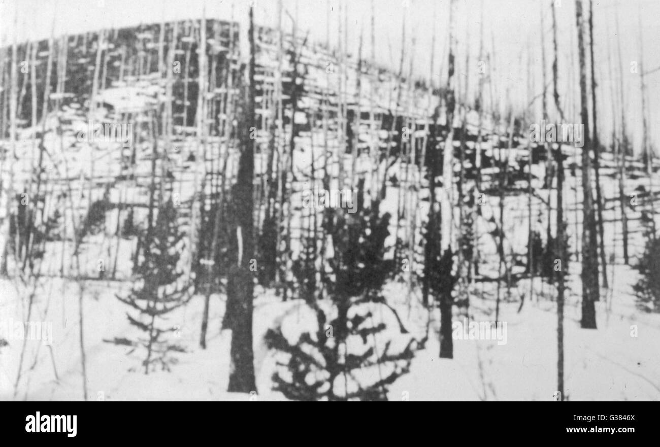 Am Boden zerstört Tunguska Wald, wie gesehen von Kulik im Jahre 1927.       Datum: 1908 Stockfoto
