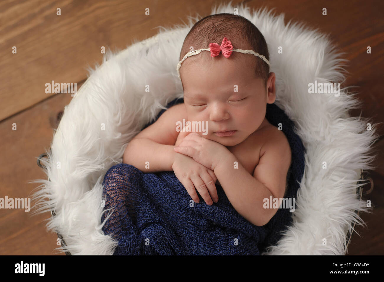 Elf Tage altes neugeborenes Mädchen schlafen in einem kleinen Eimer Pelz gefüttert. Sie ist in einem blauen Schal gehüllt. Gedreht im Studio auf eine Stockfoto