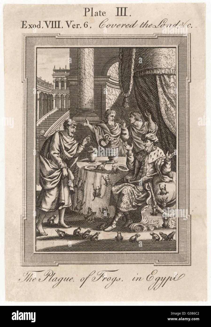 BIBEL/PEST/ÄGYPTEN/FRÖSCHE Stockfoto