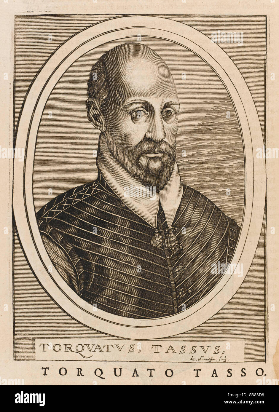 Tasso torquato Fotos und Bildmaterial in hoher Auflösung Alamy