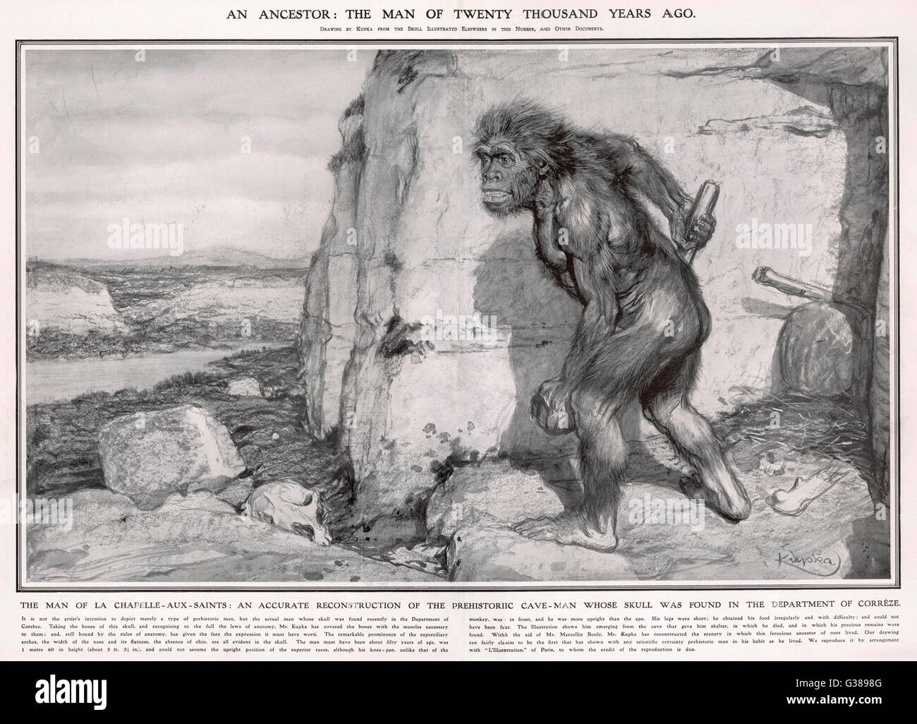 CORREZE Mann (Neandertaler) rekonstruiert aus einem Schädel gefunden bei La Chapelle-Aux-Saints, Frankreich, im Jahre 1908/9 Datum: ca. 40.000 v. Chr. Stockfoto