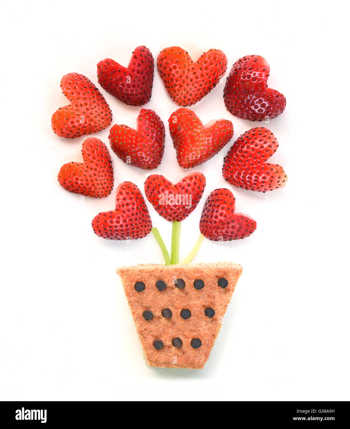 Erdbeeren in einem Blumen-Topf-Konzept Stockfoto