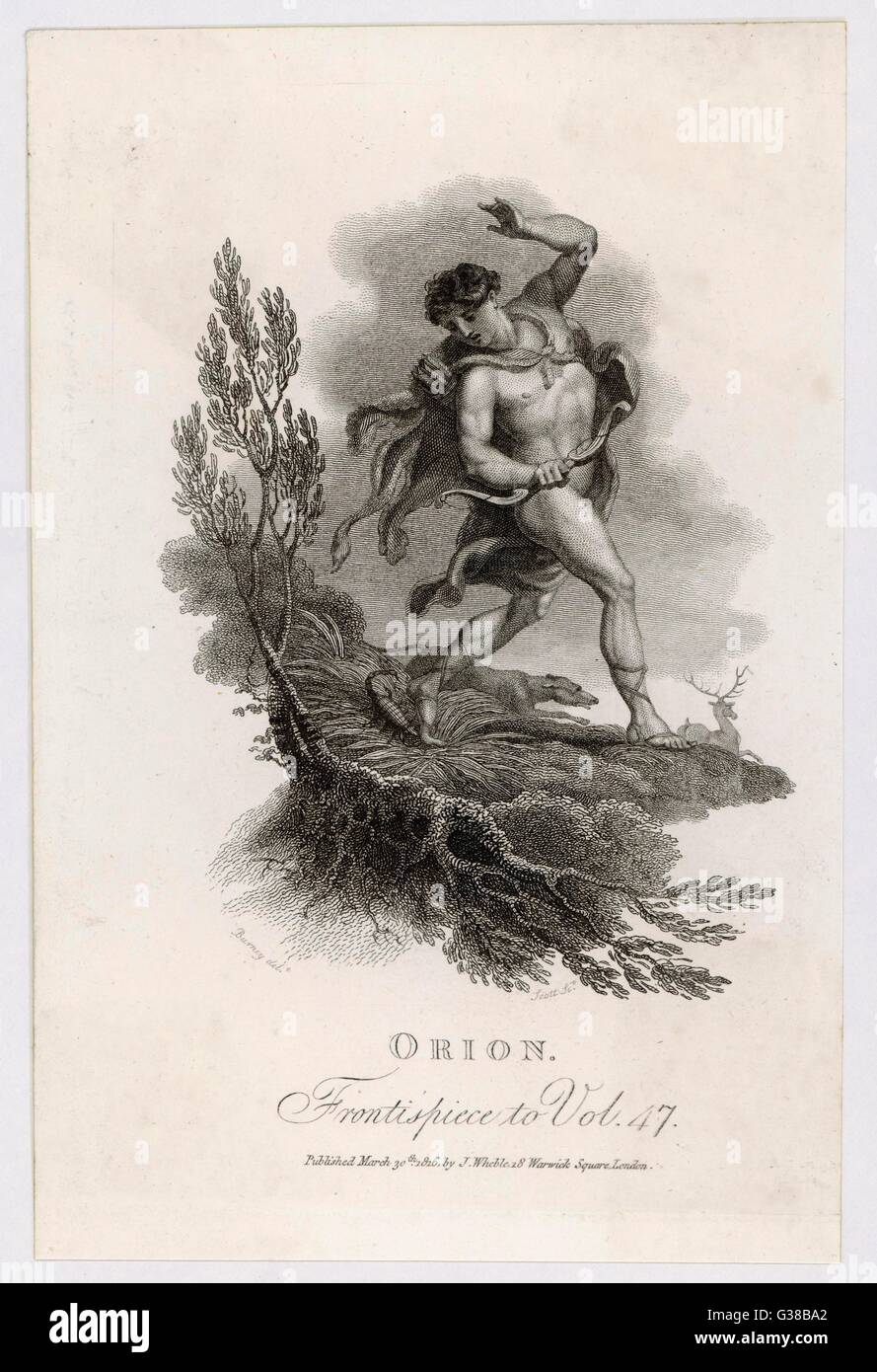Orion, ein Riese und ein renommierter Jäger, weckt die Eifersucht der Artemis/Diana, die für ihn tödlich von einem Skorpion gebissen zu werden arrangiert, woraufhin er eine Konstellation wird Stockfoto