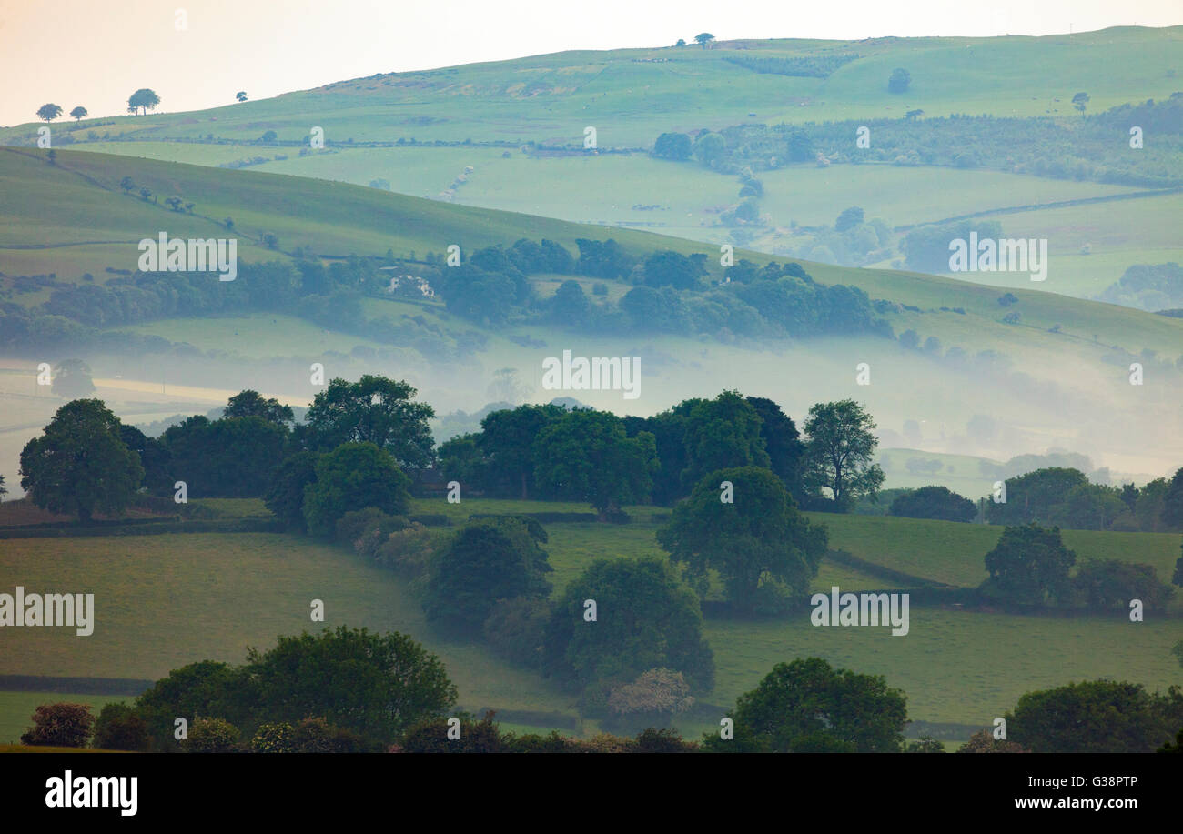 Flintshire, UK 9. Juni 2016. UK Wetter – produziert scharfe kräftige Schauer am Nachmittag schwüle Bedingungen mit Nebel überrollen ländlichen Ackerland und die fernen Clwydian Hügel Stockfoto