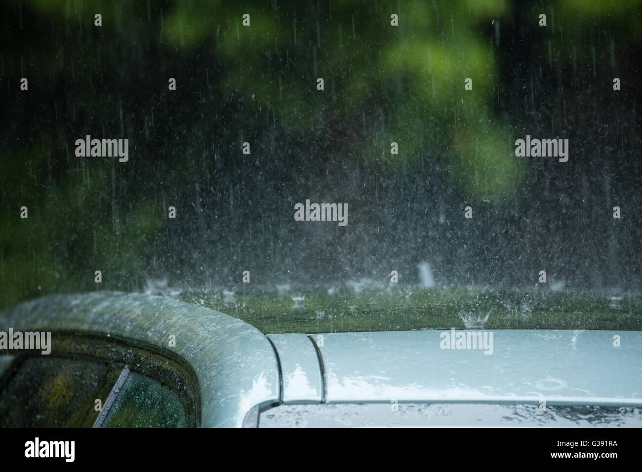 Sheffield, South Yorkshire, England. 10. Juni 2016. UK-Wetter: Sintflutartige Regenfälle spritzt aus einem Autodach in Sheffield South Yorkshire heftigen Regenfälle unterworfen ist. Bildnachweis: Graham Dunn/Alamy Live-Nachrichten Stockfoto