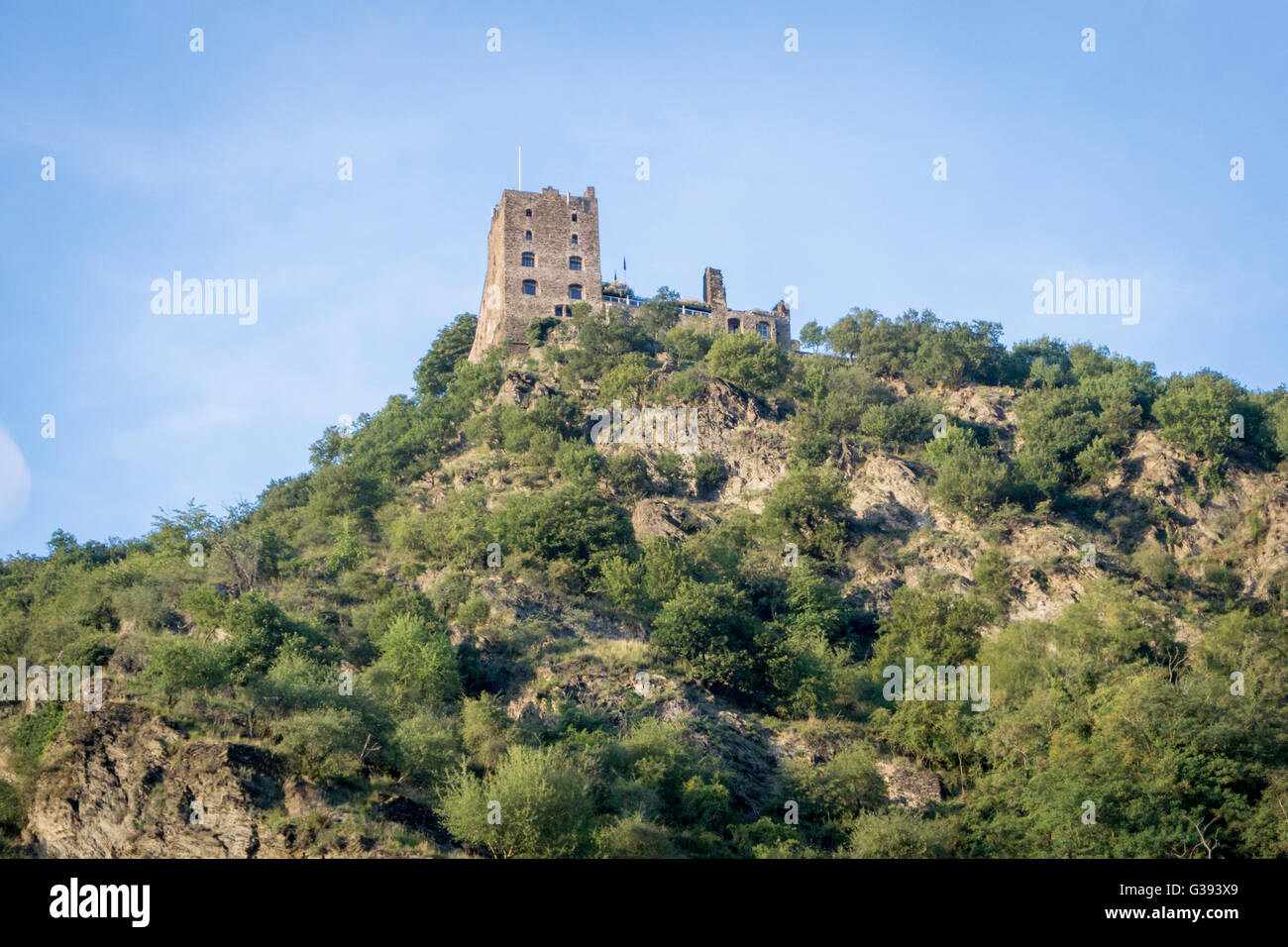 Schloss Liebenstein über das Rheintal, Deutschland Stockfoto