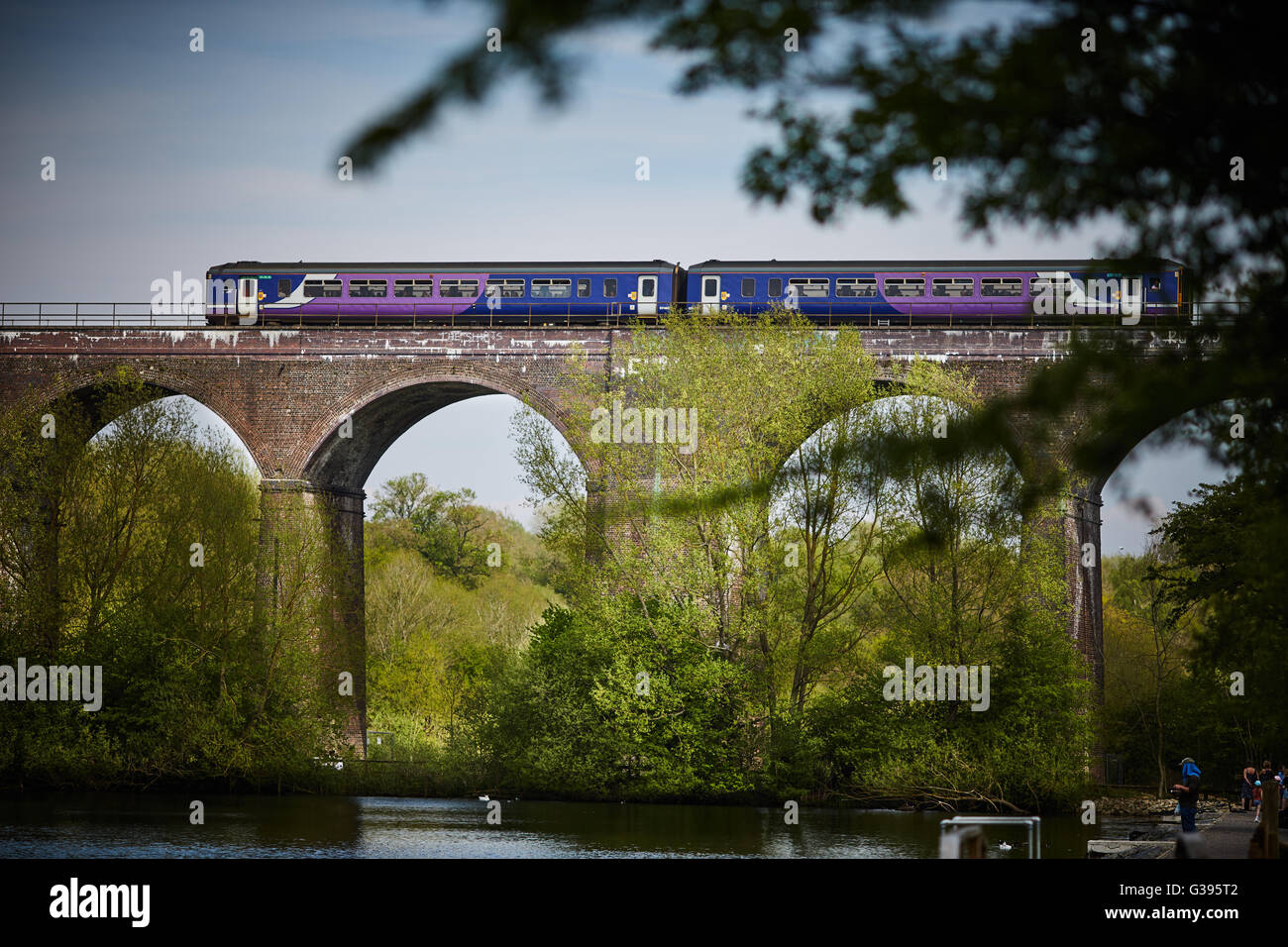 Rötlich Vale Viadukt Stockport Land Park 16-Bogen gemauerten Viadukt erbaut 1875, Hope Valley Line über den Ta zu tragen Stockfoto