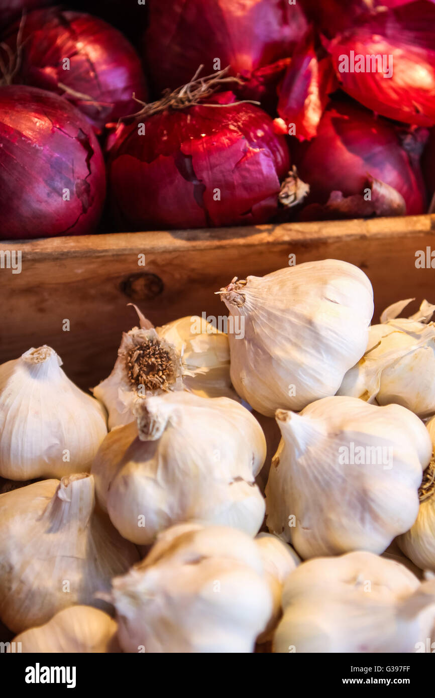 Hintergrund der verschiedenen Arten von Zwiebeln und Knoblauch Stockfoto