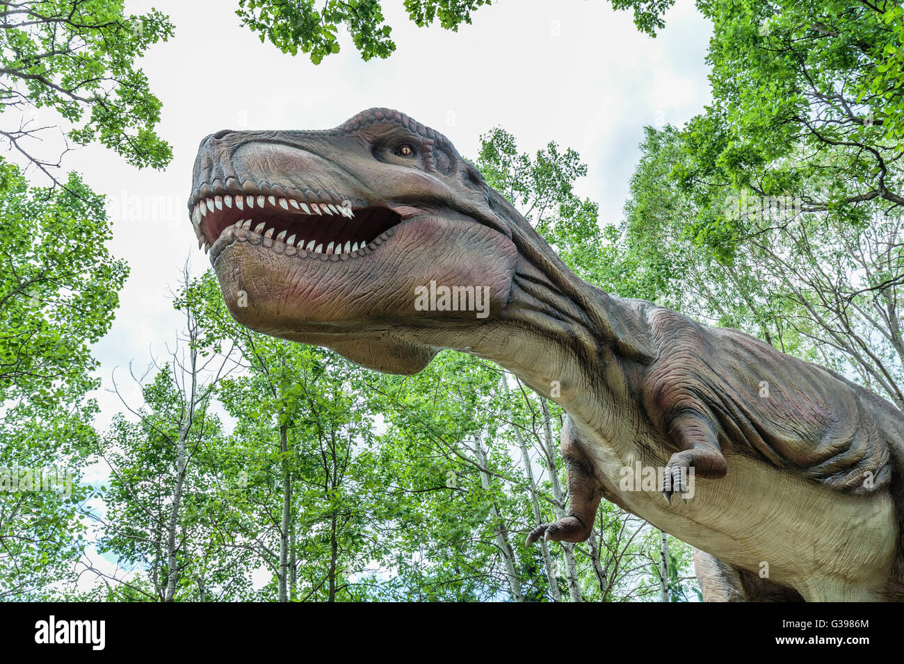 Tyrannosaurus Rex an Dinosaurier am Leben Stockfoto