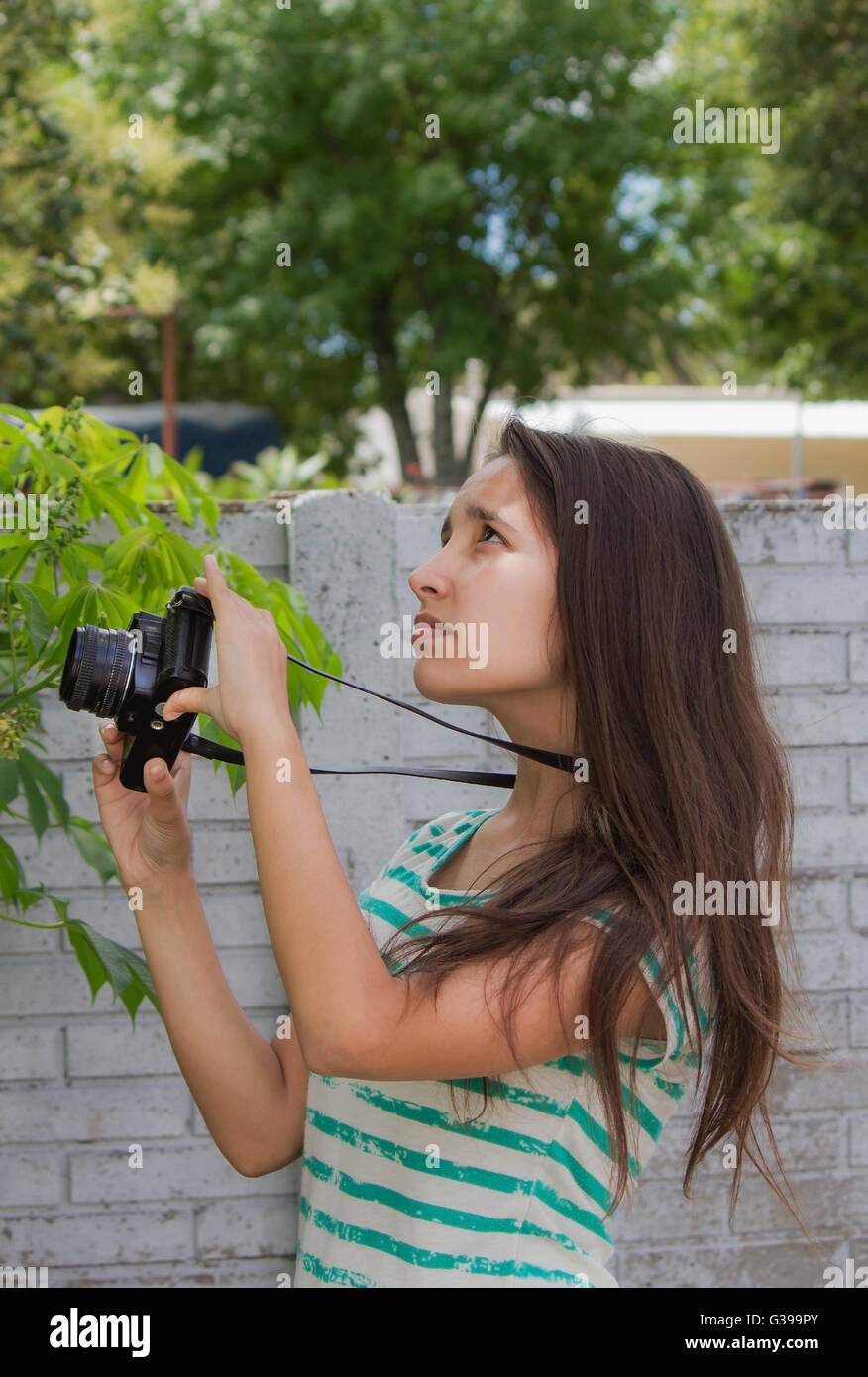 Frauen, die Bilder auf die Natur Stockfoto