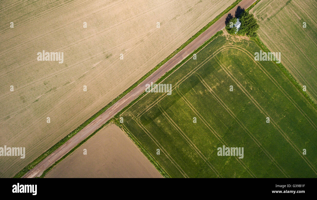 Kornfeld Klaukkala, Finnland Stockfoto