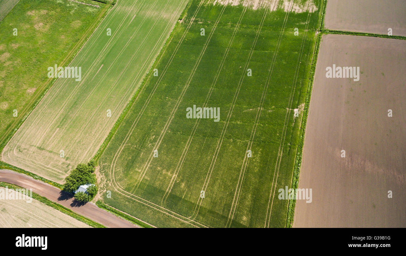 Kornfeld Klaukkala, Finnland Stockfoto