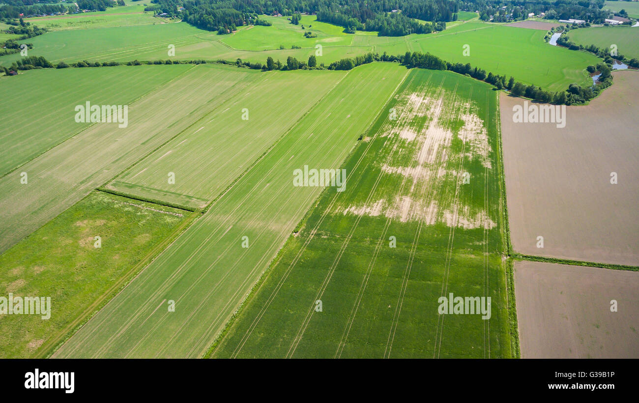 Kornfeld Klaukkala, Finnland Stockfoto