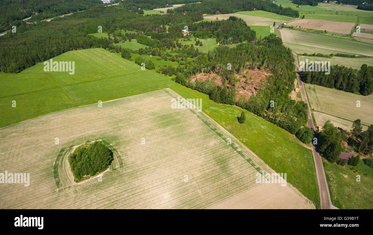 Kornfeld Klaukkala, Finnland Stockfoto
