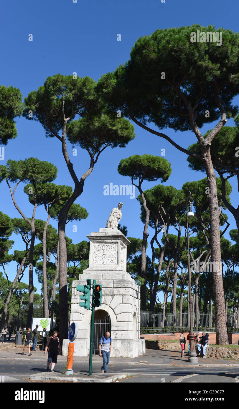 Pinien, Garten, Villa Rom, Italien Stockfotografie Alamy