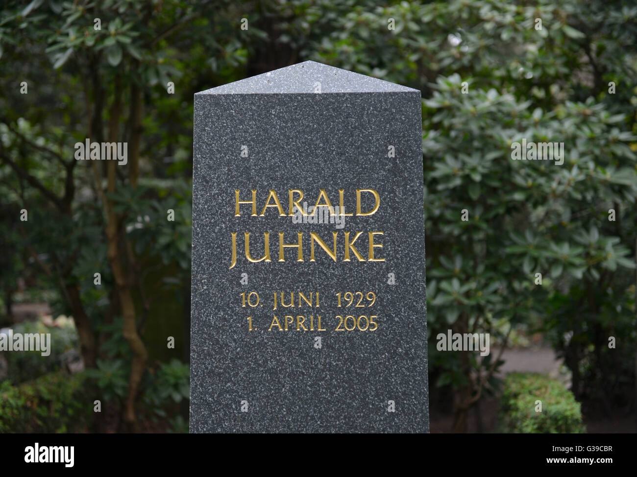 Greifen, Harald Juhnke, Waldfriedhof Dahlem, Huettenweg, Berlin, Deutschland / Hüttenweg Stockfoto