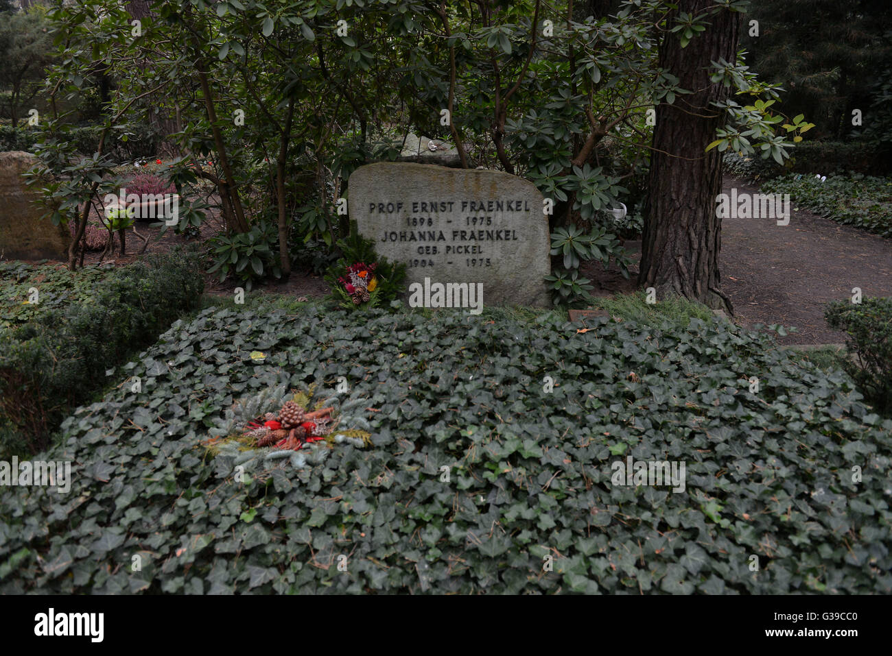 Greifen, Ernst Fraenkel, Waldfriedhof Dahlem, Huettenweg, Berlin, Deutschland / Hüttenweg Stockfoto