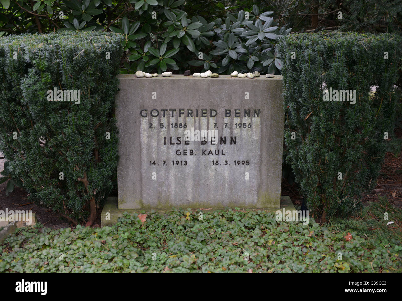 Greifen, Gottfried Benn, Waldfriedhof Dahlem, Huettenweg, Berlin, Deutschland / Hüttenweg Stockfoto