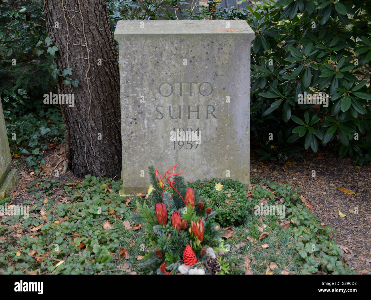 Greifen Sie, Otto Suhr, Waldfriedhof, Potsdamer Chaussee, Zehlendorf, Berlin, Deutschland Stockfoto