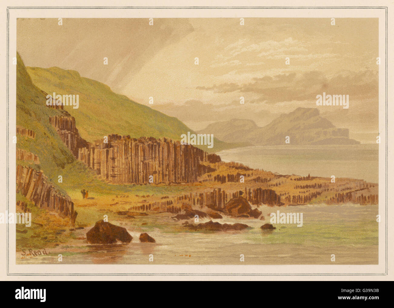 Der Giant's Causeway Stockfoto