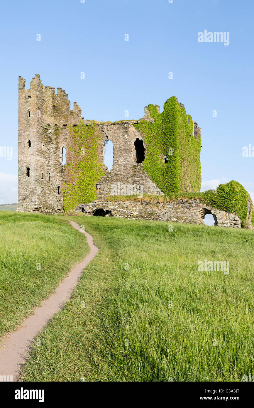 Ballycarberry Burg, in der Nähe von Cahersiveen, Ring of Kerry, Irland Stockfoto