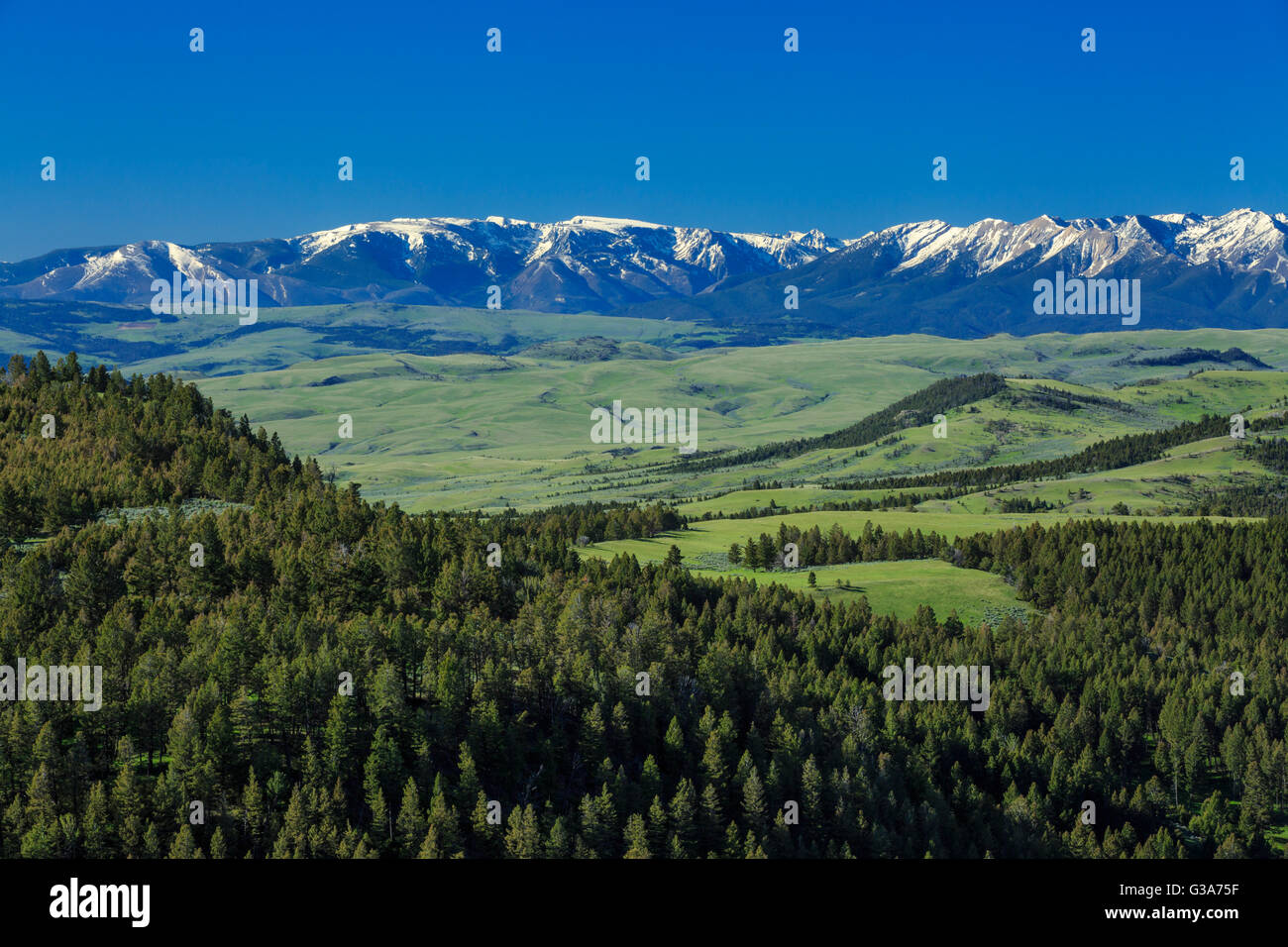 Absaroka Range angesehen von den Hügeln über dem Yellowstone-Tal in der Nähe von Springdale, montana Stockfoto