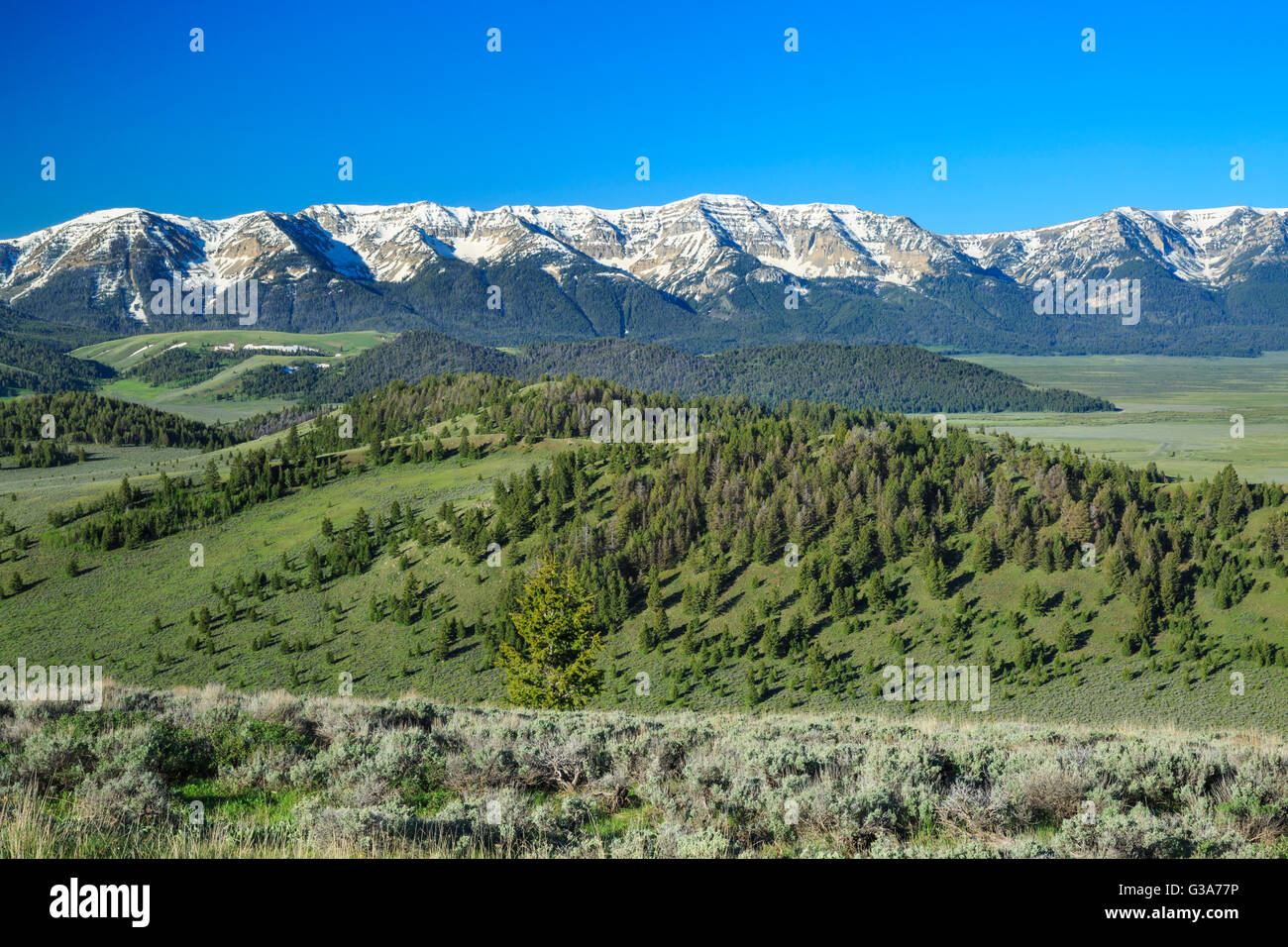 Centennial Bergen oberhalb von Red rock Seen national Wildlife Refuge in der Nähe von Lakeview, montana Stockfoto
