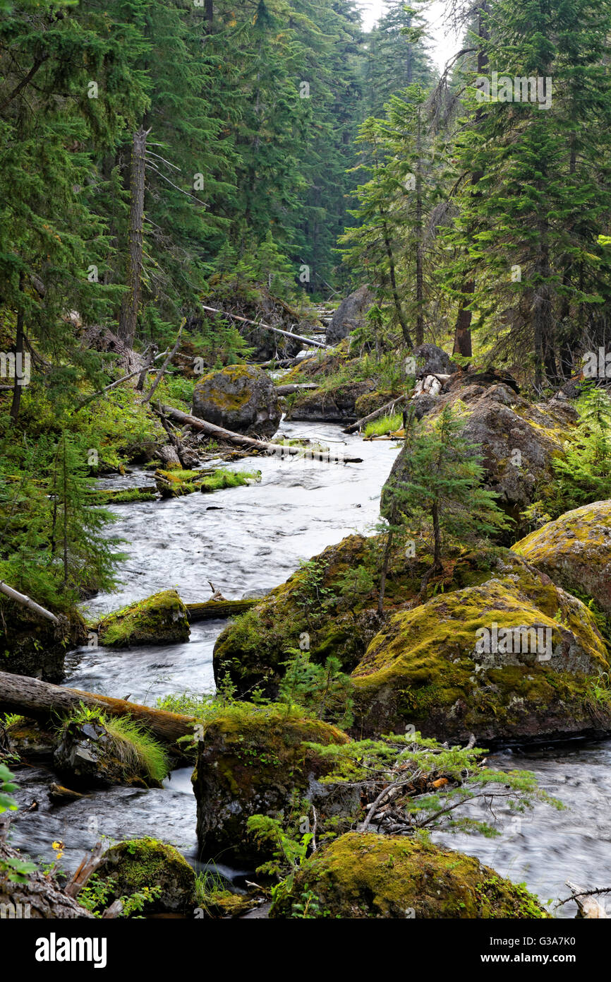 41,868.00074 Paulina Bach fließt durch Felsbrocken in Nadelbaum Wald canyon Stockfoto