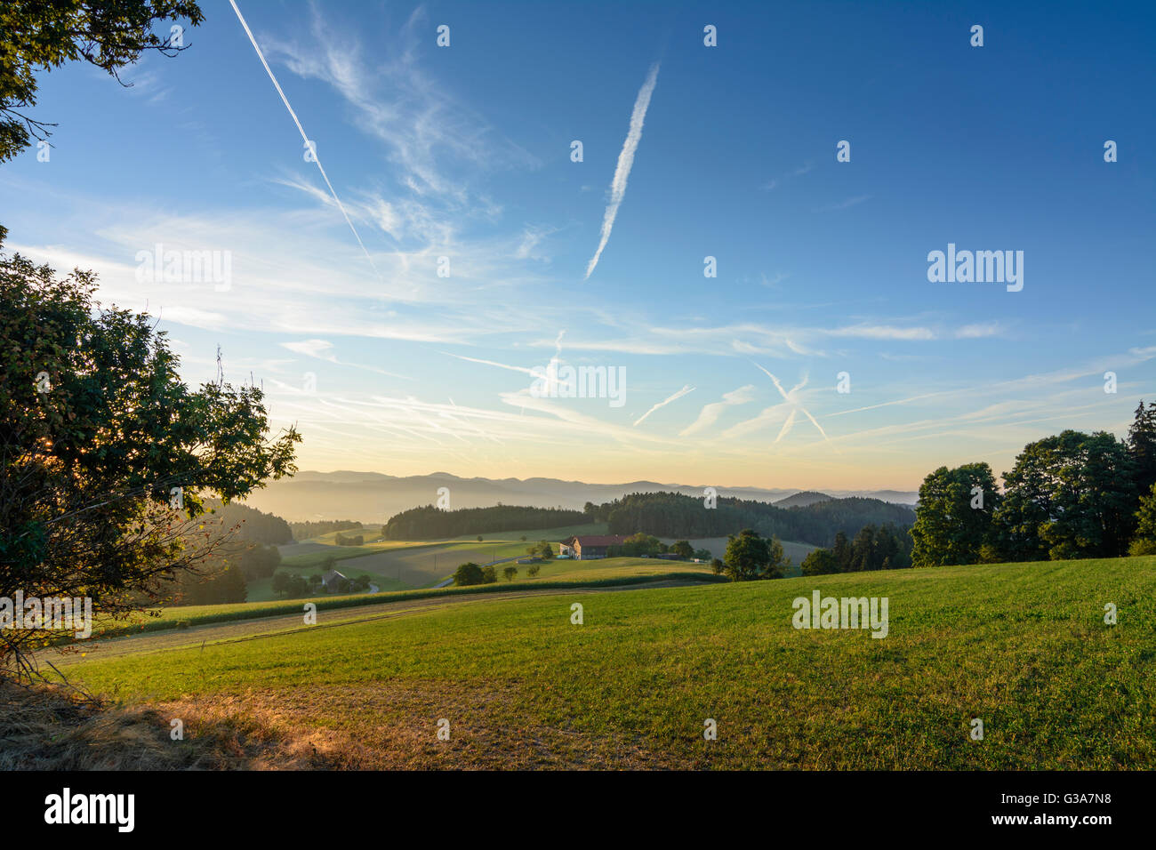 Blick über das Mühlviertel bei Sonnenaufgang, Österreich, Oberösterreich, Oberösterreich, Mühlviertel, Waldburg Stockfoto