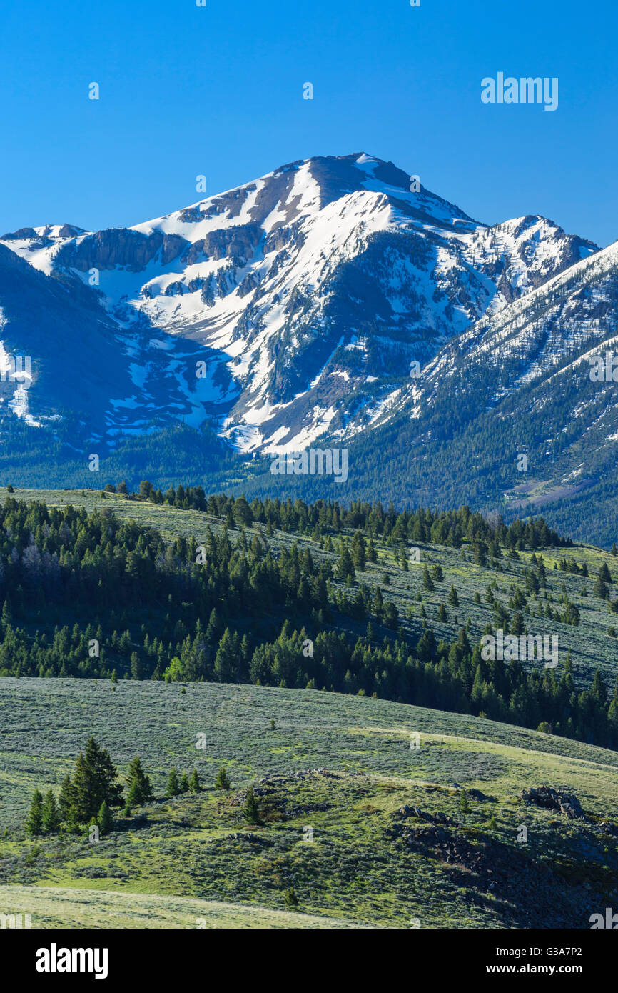 Mount Jefferson im centennial Bereich oberhalb der roten Felsen pass in der Nähe von Lakeview, montana Stockfoto