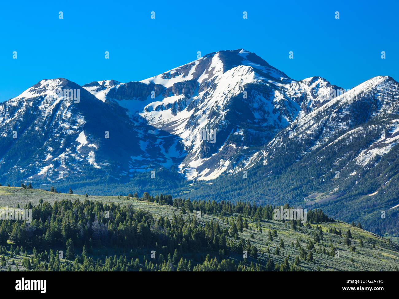 Mount Jefferson im centennial Bereich oberhalb der roten Felsen pass in der Nähe von Lakeview, montana Stockfoto