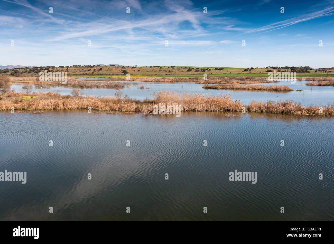 Feuchtgebiete de Fluss Guadiana, neben dem Stausee Vicario