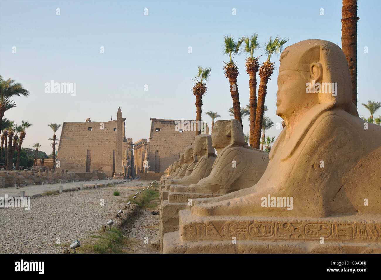 Luxor-Tempel, Avenue von Sphinxen und ersten Pylon, Luxor, Ägypten Stockfoto