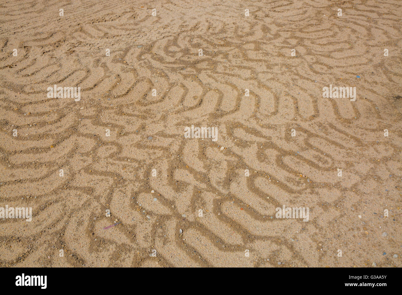 Zufällige Spuren von schweren Baumaschinen im Sand Stockfoto