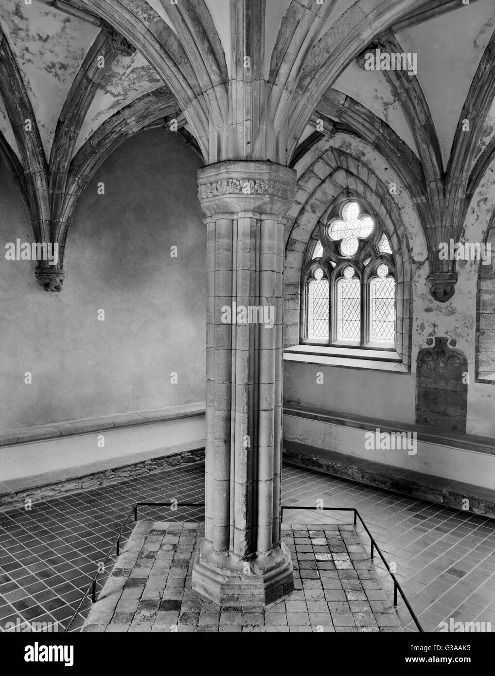 C15th Kapitelsaal des Glenluce Zisterzienser-Abtei, Dumfries und Galloway: 4-fach Kreuzrippengewölbe Federn von einem zentralen shafted Pier a. Stockfoto