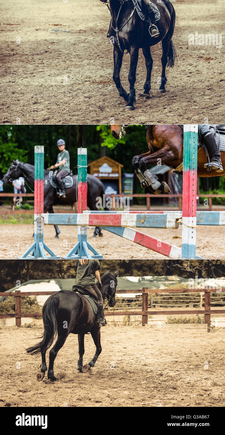Collage aus Fotos von Pferde-Wettbewerbe Stockfoto