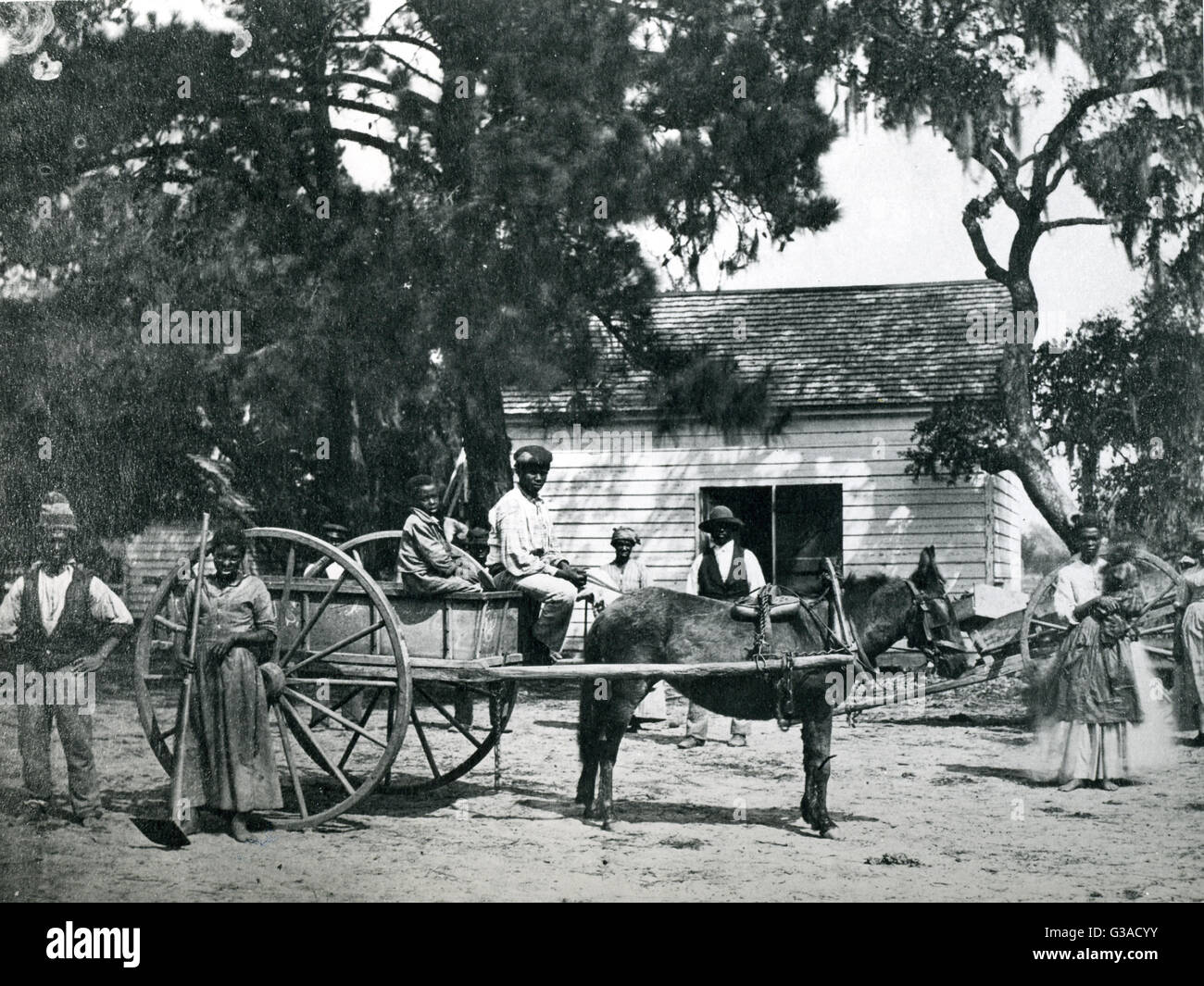 Sklaven auf der Plantage von James Hopkinson auf Edisto Island, South Carolina. Stockfoto