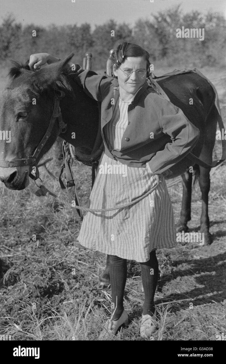 Dreißig Jahre altes Maultier, das Mädchen ist fünfundzwanzig. Farm in Coffe Stockfoto