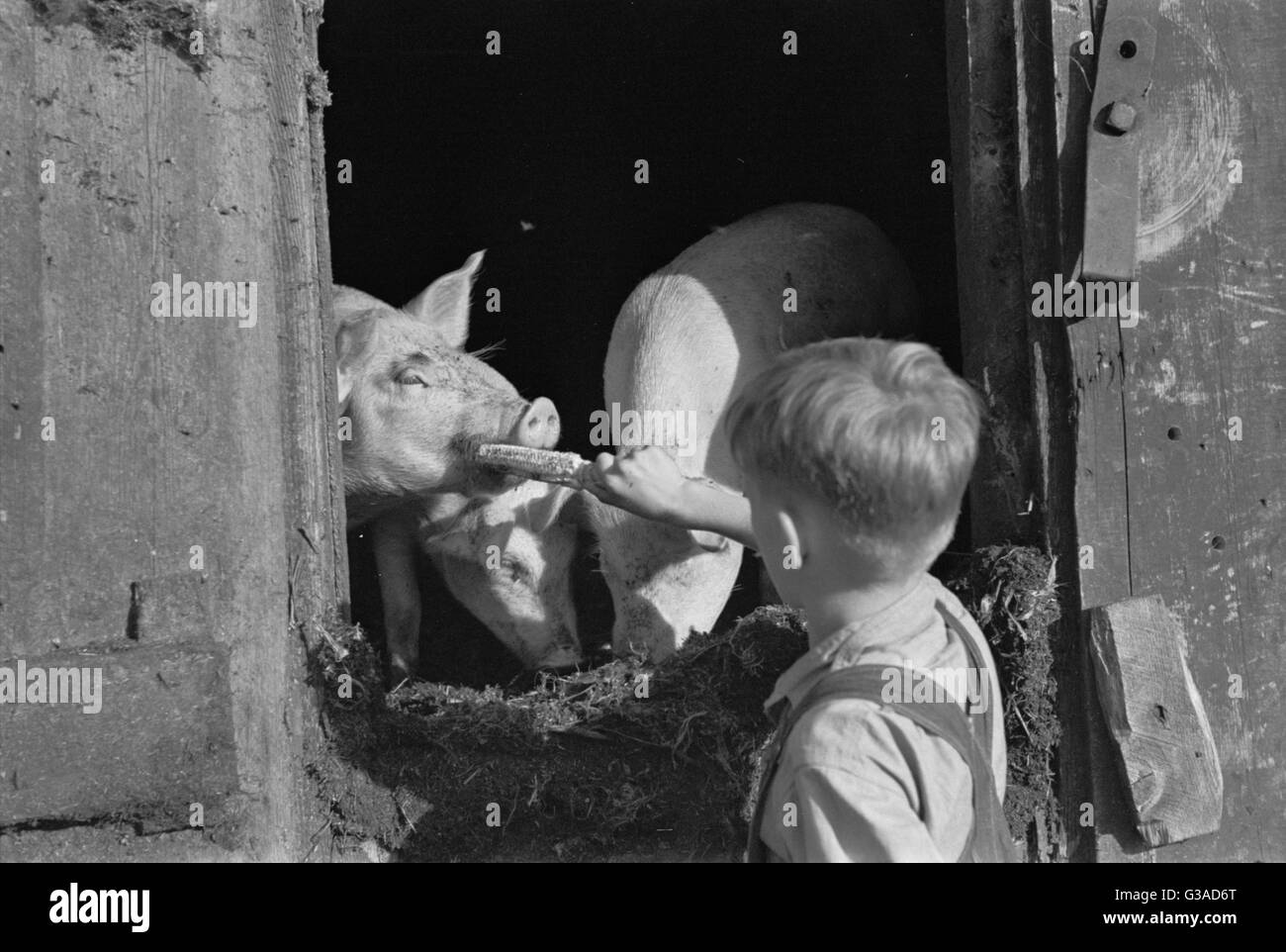 Ohne Titel Stockfoto