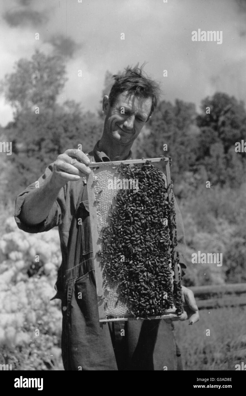 George Arnole stellt einen Superhonig aus, der auf seiner Farm i aufgezogen wurde Stockfoto