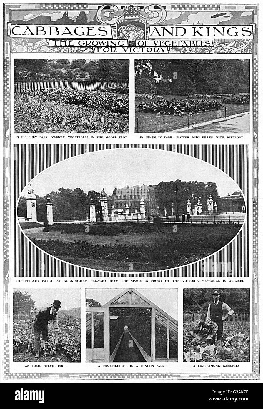 Gemüse für den Sieg anbauen, WW1 Stockfoto