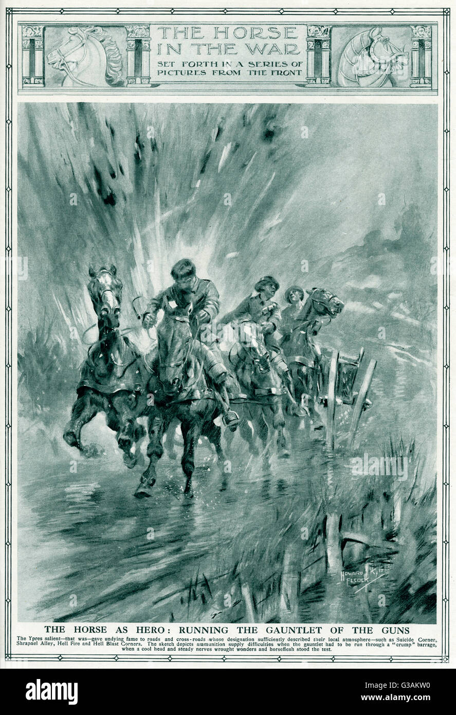 Pferde, die den Handschuh der Waffen führen, 1917 Stockfoto