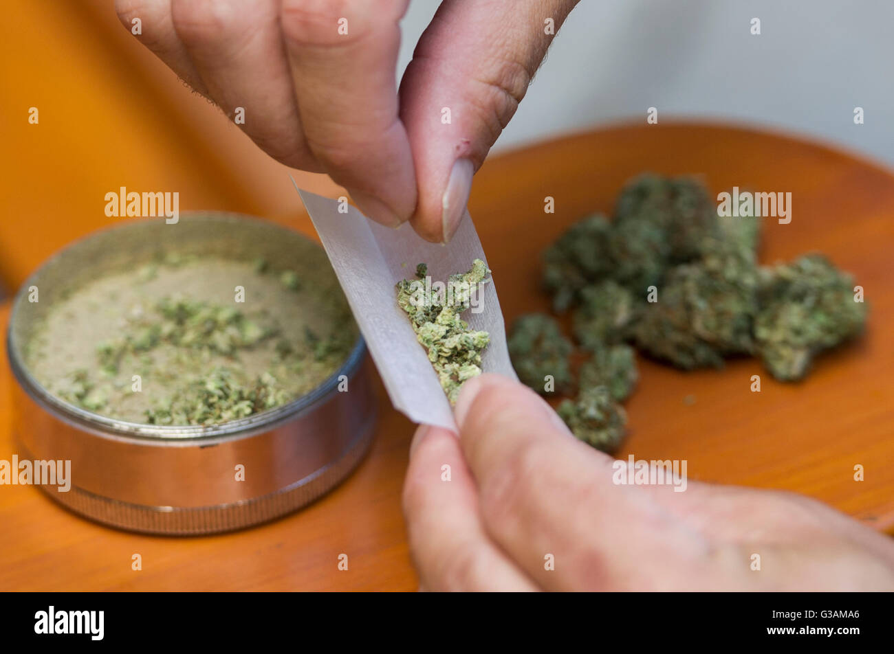 Ein Mann rollt ein Cannabis-Gelenk in Montreal, August 2014. Foto Graham Hughes/freiberufliche Stockfoto