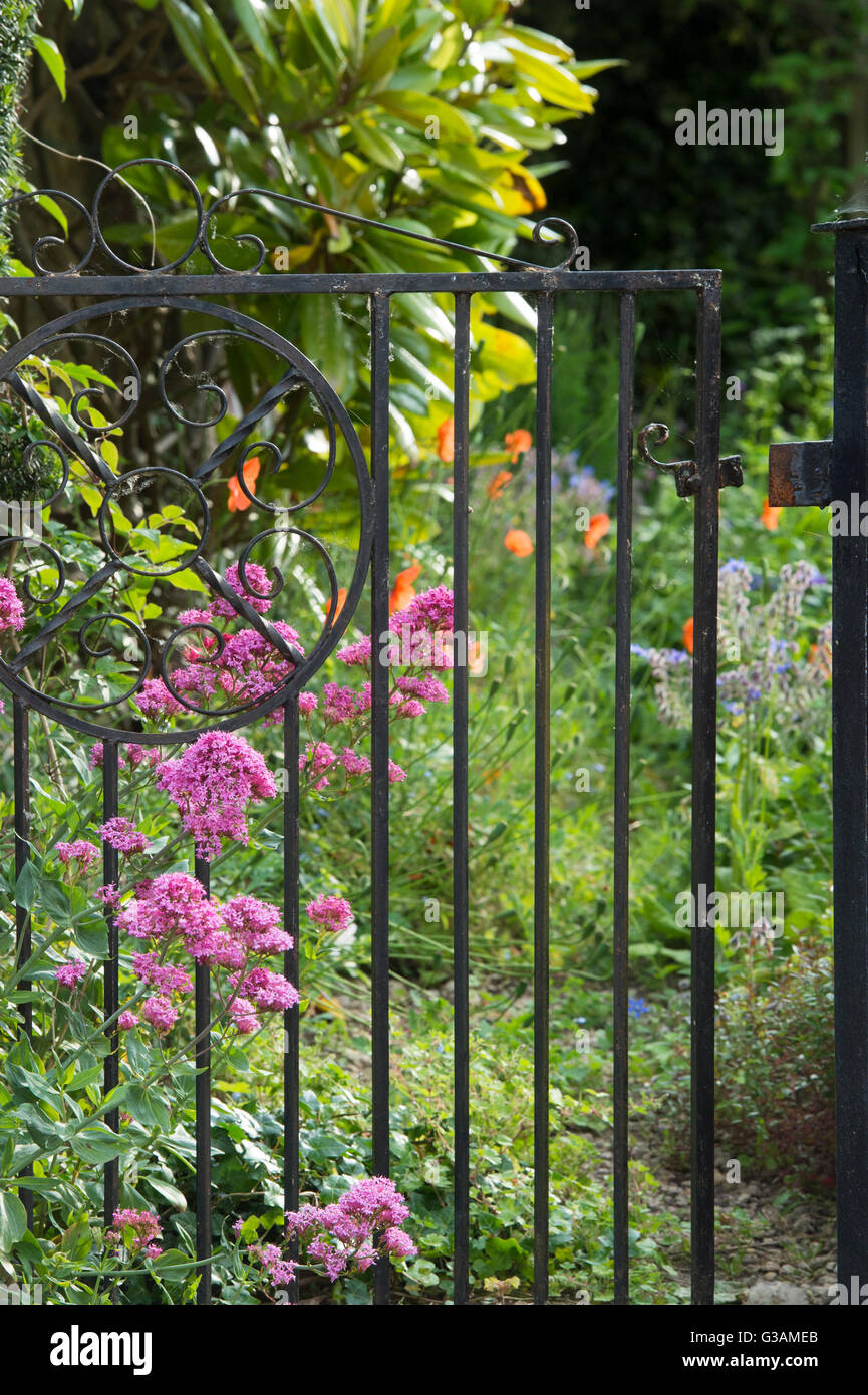 Schmiedeeisen Gartentor und roten Baldrian. UK Stockfoto