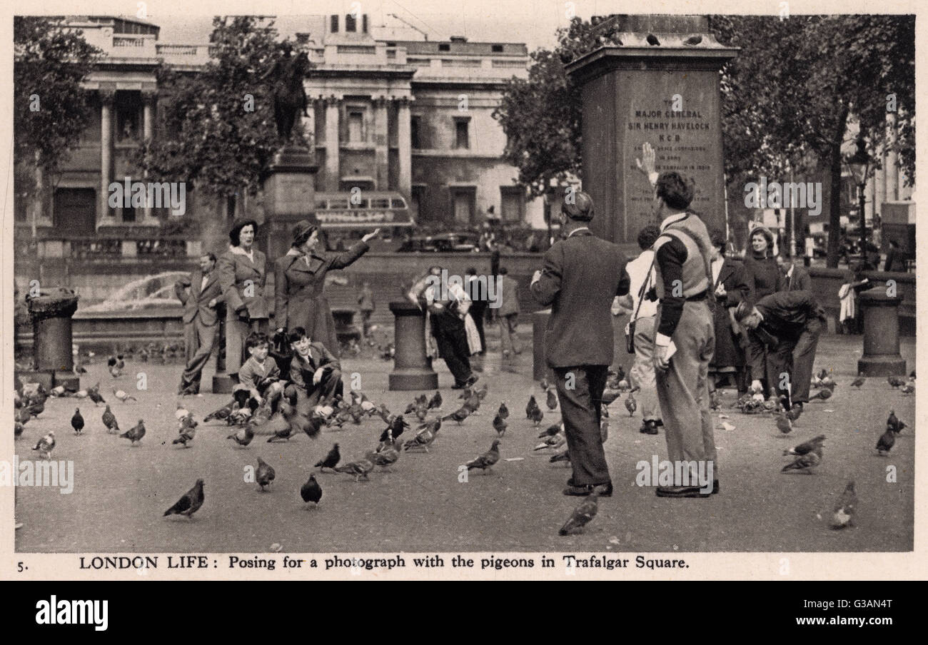 Posieren für ein Foto mit den Tauben vom Trafalgar Square Stockfoto