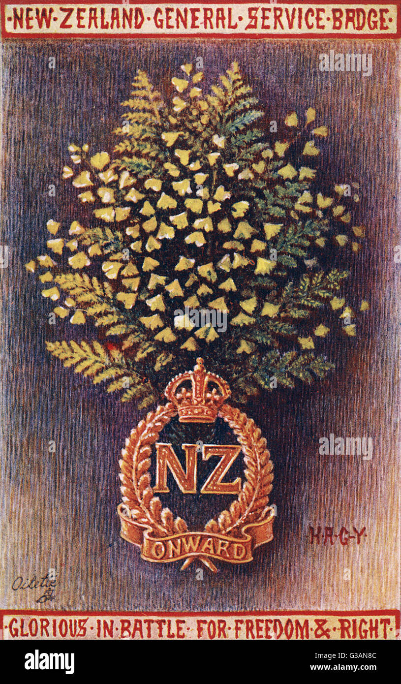 Das Neuseeländische Dienstausweis Stockfoto
