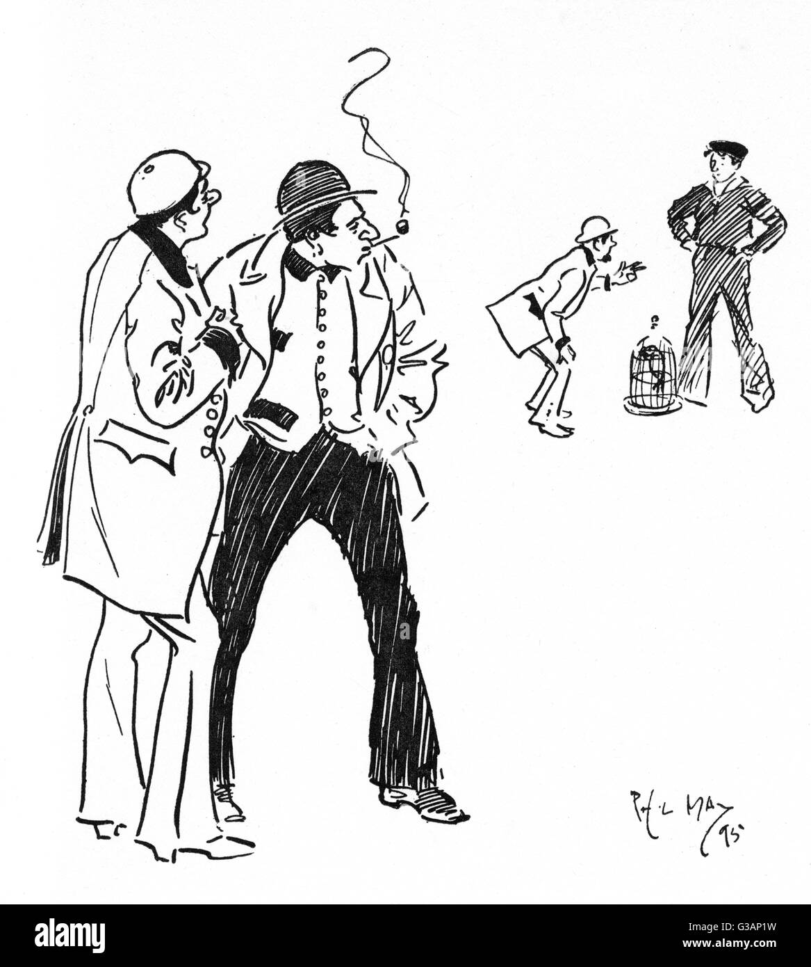 Cockney Kommentar zum Kauf eines Papageiens Stockfoto