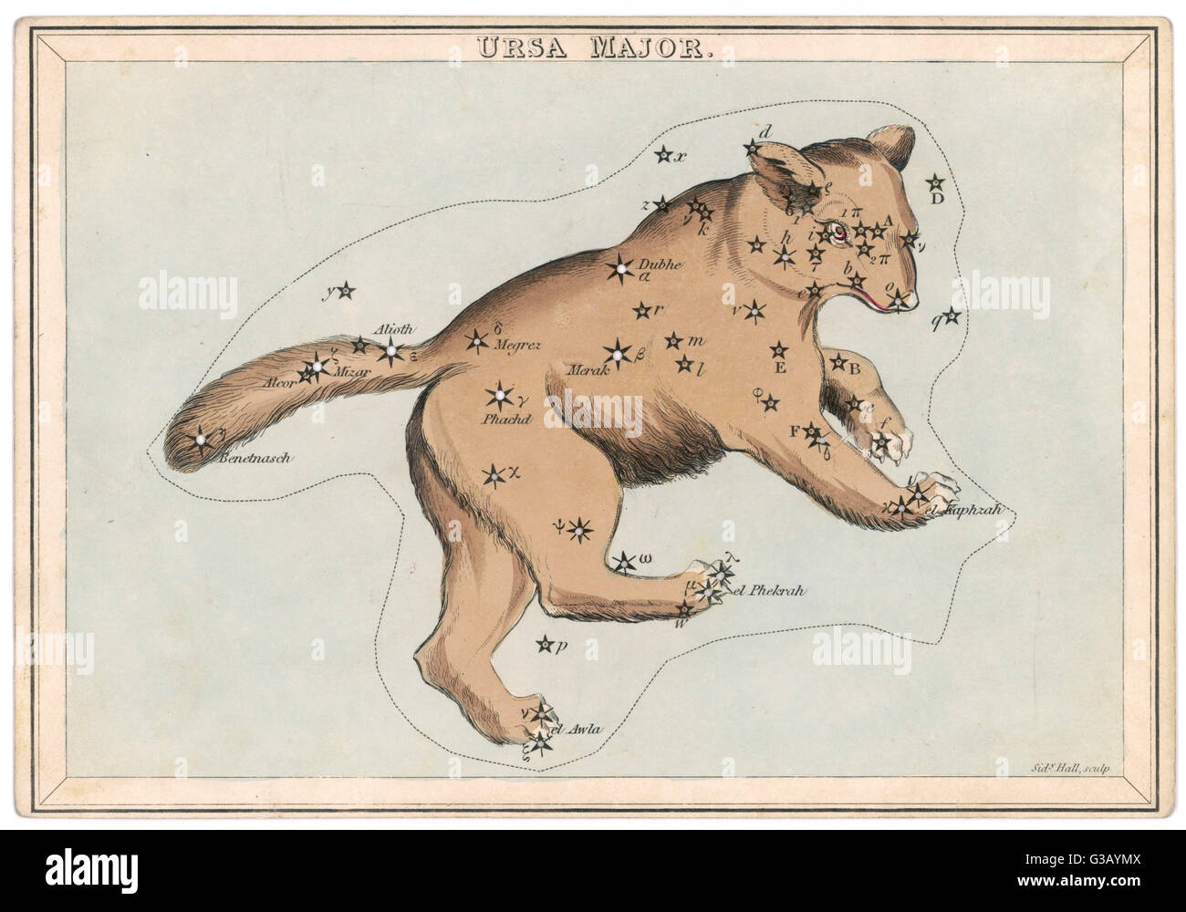 Das Sternbild Ursa Major.         Datum: 19. Jahrhundert Stockfoto